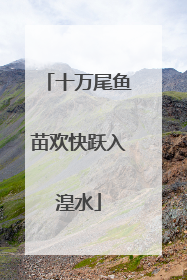 十万尾鱼苗欢快跃入湟水