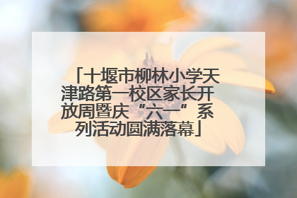 十堰市柳林小学天津路第一校区家长开放周暨庆“六一”系列活动圆满落幕