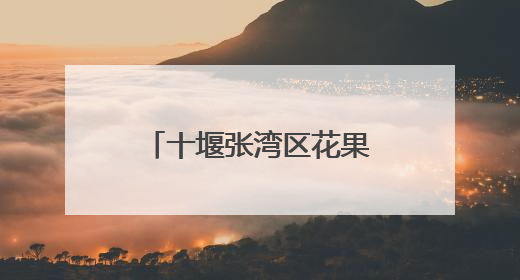 十堰张湾区花果街道守护文明河流 共绘生态画卷