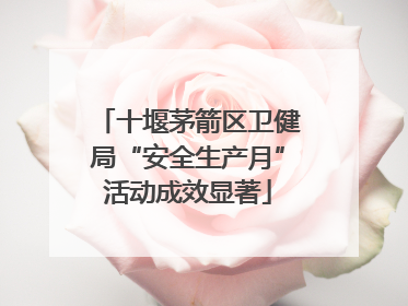 十堰茅箭区卫健局“安全生产月”活动成效显著