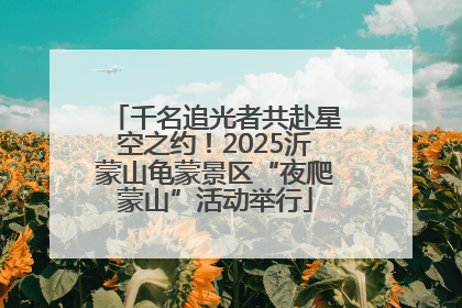 千名追光者共赴星空之约！2025沂蒙山龟蒙景区“夜爬蒙山”活动举行