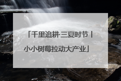 千里追耕·三夏时节丨小小树莓拉动大产业
