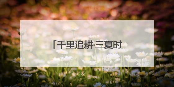 千里追耕·三夏时节丨科技“铁军”护航 麦收颗粒归仓
