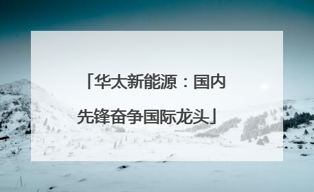 华太新能源：国内先锋奋争国际龙头