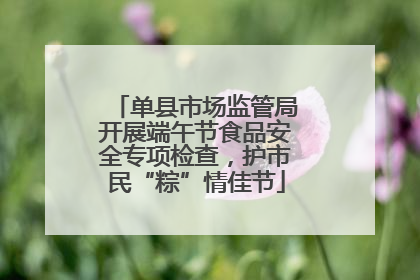 单县市场监管局开展端午节食品安全专项检查，护市民“粽”情佳节