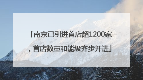 南京已引进首店超1200家，首店数量和能级齐步并进