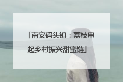南安码头镇：荔枝串起乡村振兴甜蜜链