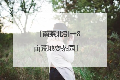 南茶北引→8亩荒地变茶园