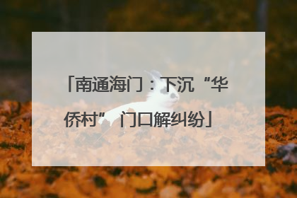 南通海门：下沉“华侨村” 门口解纠纷
