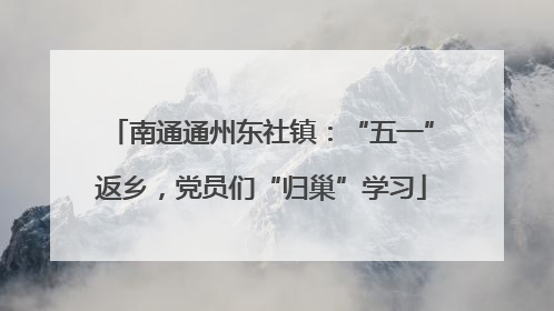 南通通州东社镇：“五一”返乡，党员们“归巢”学习