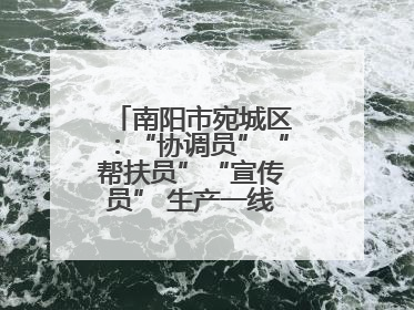 南阳市宛城区：“协调员”“帮扶员”“宣传员” 生产一线助力抢收抢种