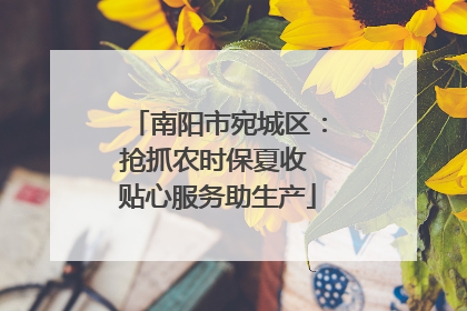 南阳市宛城区：抢抓农时保夏收 贴心服务助生产