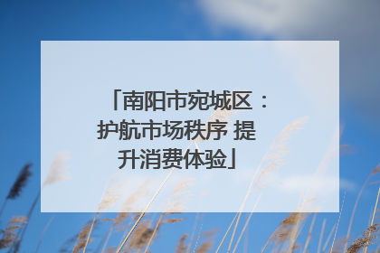 南阳市宛城区：护航市场秩序 提升消费体验