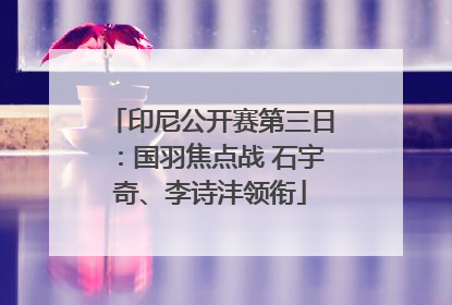 印尼公开赛第三日：国羽焦点战 石宇奇、李诗沣领衔