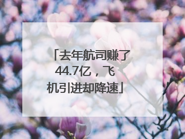 去年航司赚了44.7亿，飞机引进却降速