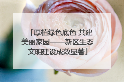 厚植绿色底色 共建美丽家园——新区生态文明建设成效显著