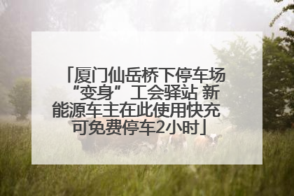 厦门仙岳桥下停车场“变身”工会驿站 新能源车主在此使用快充 可免费停车2小时