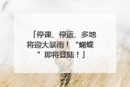 停课、停运、多地将迎大暴雨！“蝴蝶”即将登陆！