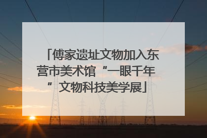 傅家遗址文物加入东营市美术馆“一眼千年”文物科技美学展