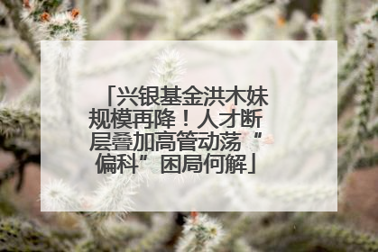 兴银基金洪木妹规模再降！人才断层叠加高管动荡“偏科”困局何解