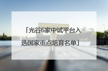 光谷6家中试平台入选国家重点培育名单