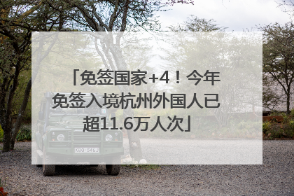 免签国家+4！今年免签入境杭州外国人已超11.6万人次