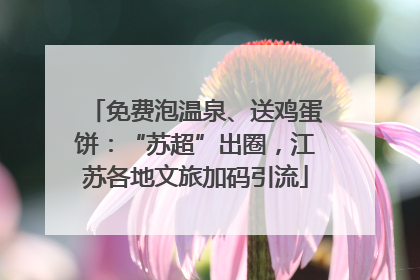 免费泡温泉、送鸡蛋饼：“苏超”出圈，江苏各地文旅加码引流