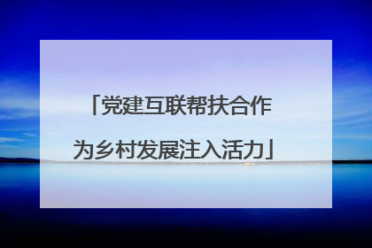 党建互联帮扶合作 为乡村发展注入活力
