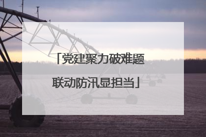 党建聚力破难题 联动防汛显担当