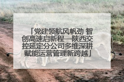 党建领航风帆劲 智创高速启新程—陕西交控延定分公司多维深耕赋能运营管理新跨越
