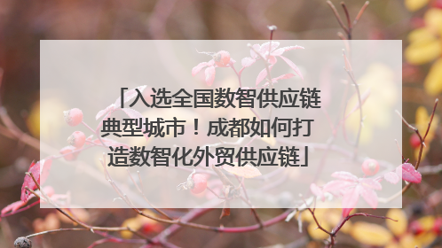 入选全国数智供应链典型城市！成都如何打造数智化外贸供应链