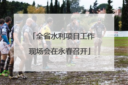 全省水利项目工作现场会在永春召开