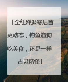 全红婵退赛后首更动态，钓鱼遛狗吃美食，还是一样古灵精怪