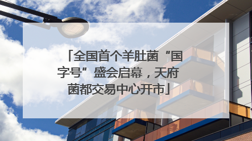 全国首个羊肚菌“国字号”盛会启幕，天府菌都交易中心开市