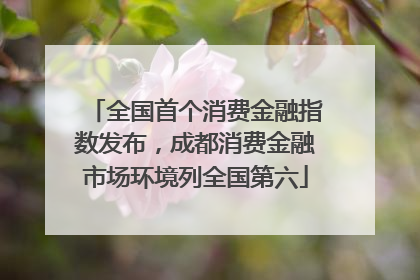 全国首个消费金融指数发布，成都消费金融市场环境列全国第六