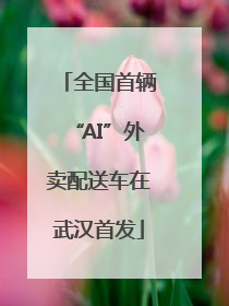 全国首辆“AI”外卖配送车在武汉首发