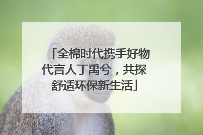 全棉时代携手好物代言人丁禹兮，共探舒适环保新生活