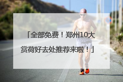 全部免费！郑州10大赏荷好去处推荐来啦！
