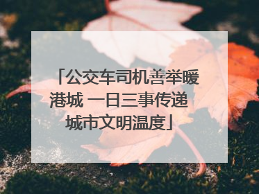 公交车司机善举暖港城 一日三事传递城市文明温度
