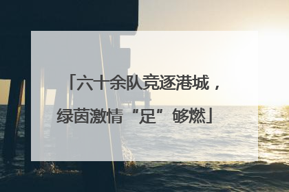 六十余队竞逐港城，绿茵激情“足”够燃