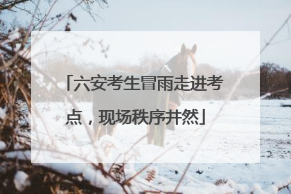 六安考生冒雨走进考点，现场秩序井然