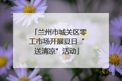 兰州市城关区零工市场开展夏日“送清凉”活动