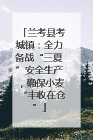 兰考县考城镇：全力备战“三夏”安全生产，确保小麦“丰收在仓”