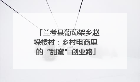 兰考县葡萄架乡赵垛楼村：乡村电商里的“甜蜜”创业路