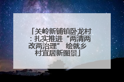 关岭新铺镇卧龙村：扎实推进“两清两改两治理” 绘就乡村宜居新图景