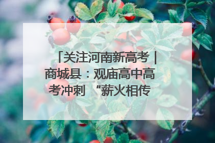 关注河南新高考｜商城县：观庙高中高考冲刺 “薪火相传”助力备考
