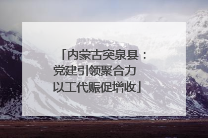 内蒙古突泉县：党建引领聚合力 以工代赈促增收