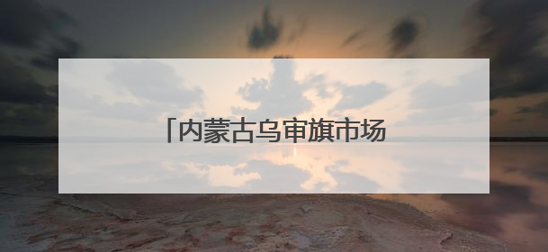 内蒙古乌审旗市场监管局联动共同开展肉制品专项检查