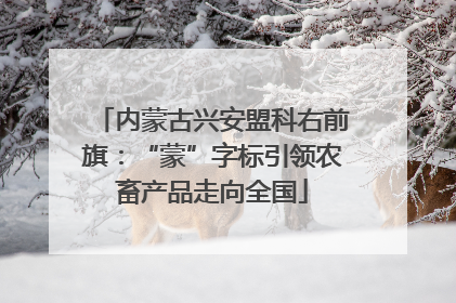 内蒙古兴安盟科右前旗：“蒙”字标引领农畜产品走向全国