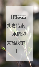内蒙古扎赉特旗：水稻迎来插秧季